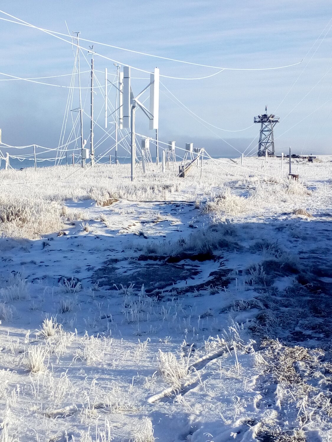 Photo #3574814