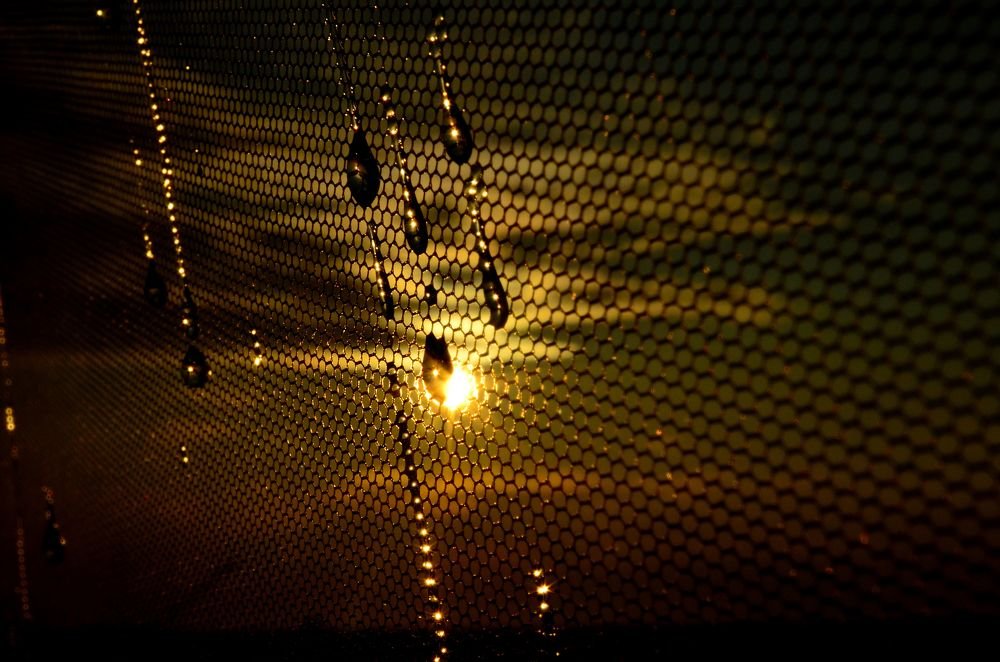 Photograph by Татьяна Смолкина