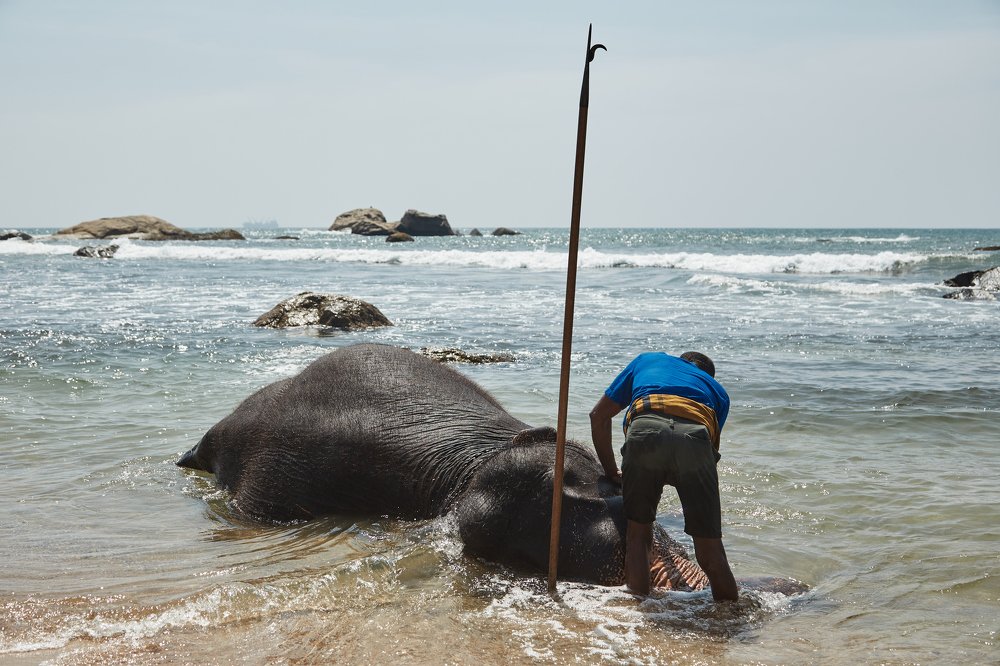 Photograph by Евгений Кесарев