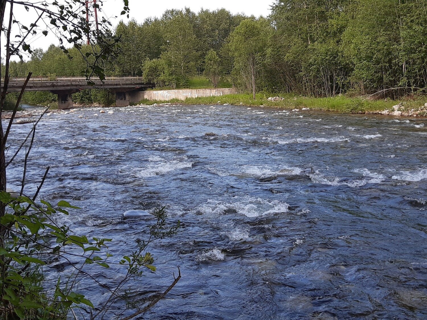 Photo #3574882