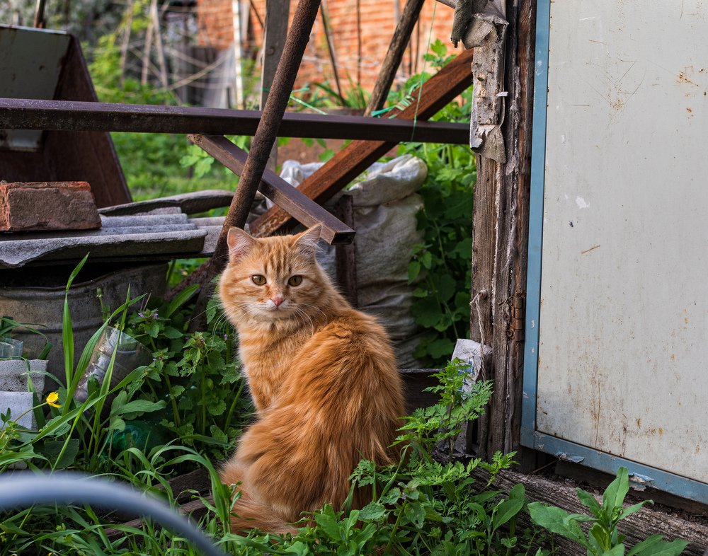 Photograph by Елена Ковалева