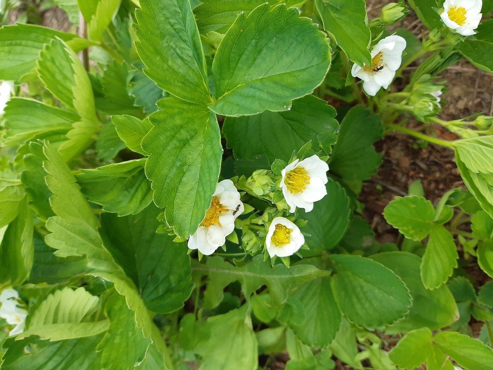 Photograph by Родионова Светлана Владимировна