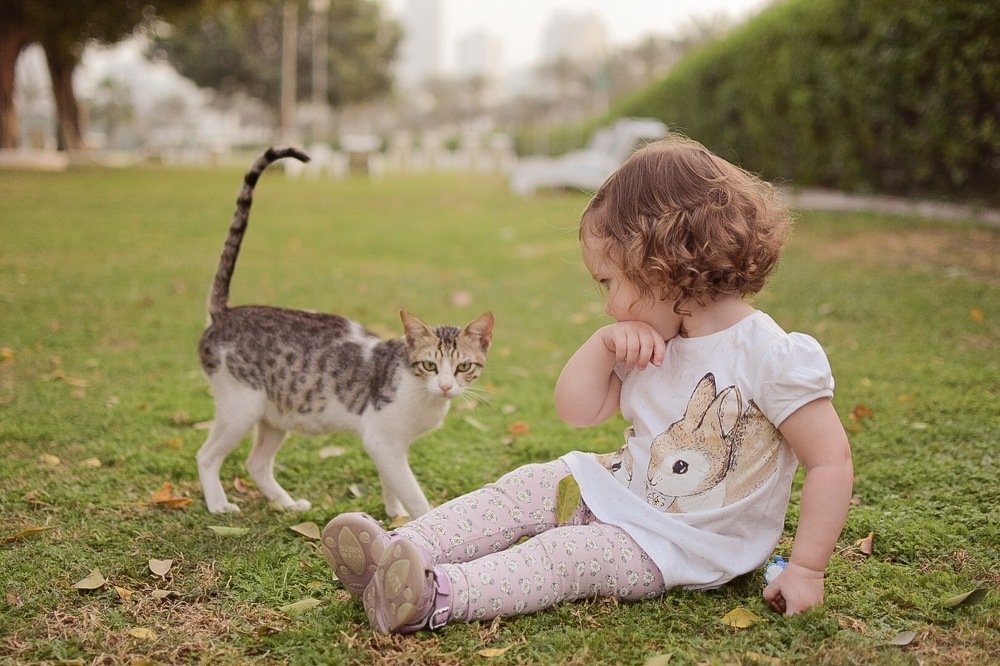 Photograph by Дарья Шаталова