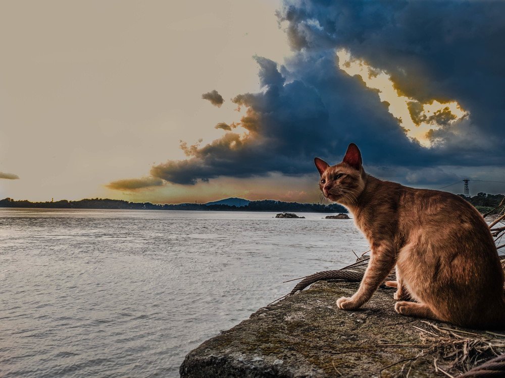Photograph by Arnab
