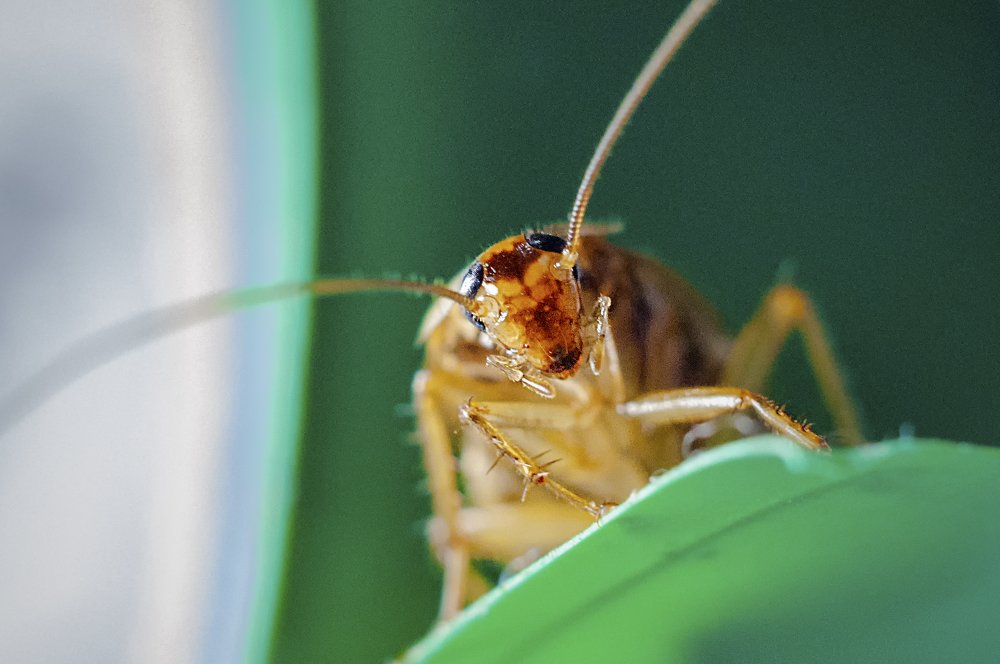 Photograph by Mark Frederick Jereos