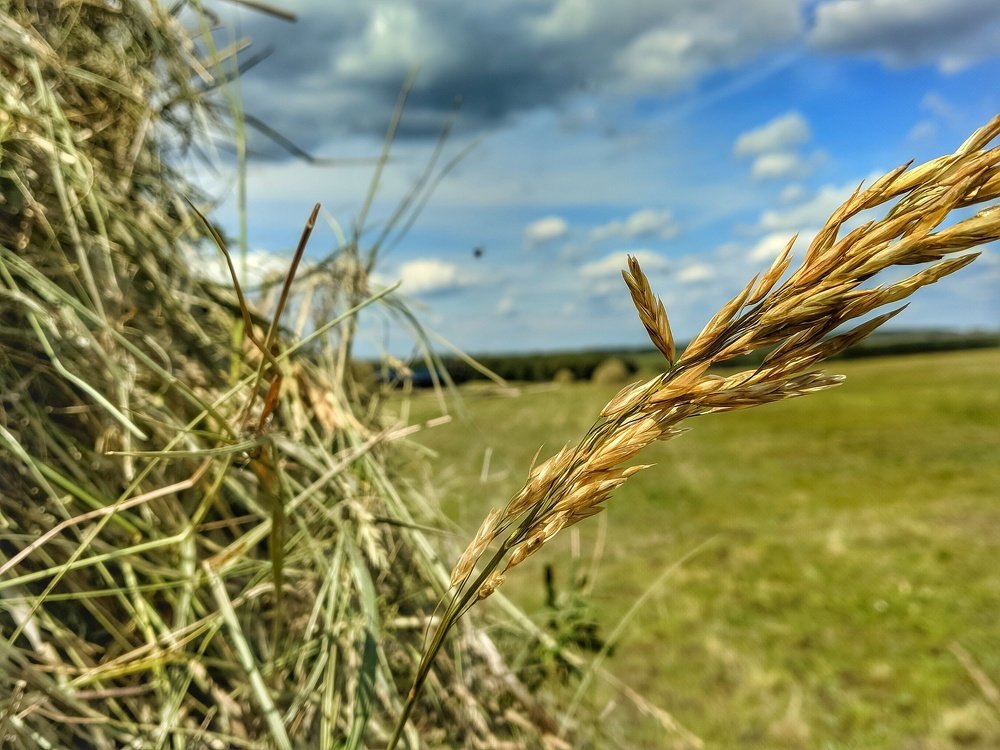 Photograph by Наиль Шакиров