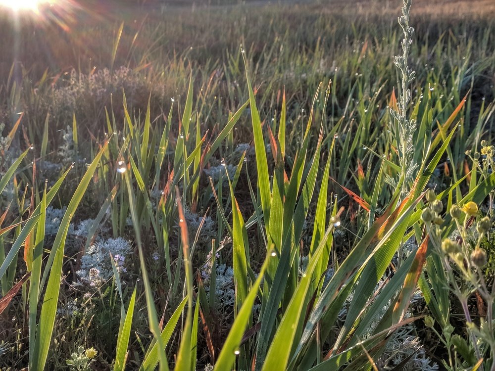 Photograph by Наиль Шакиров