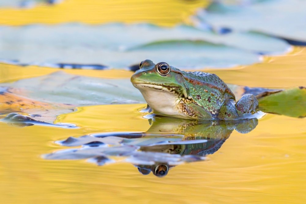 Photograph by Пётр Рогов