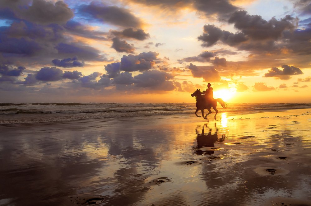 Photograph by Fathi Ibrahim