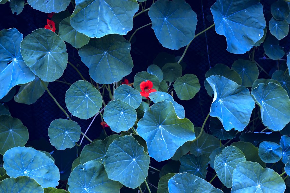 Photograph by Сергей Кочетов