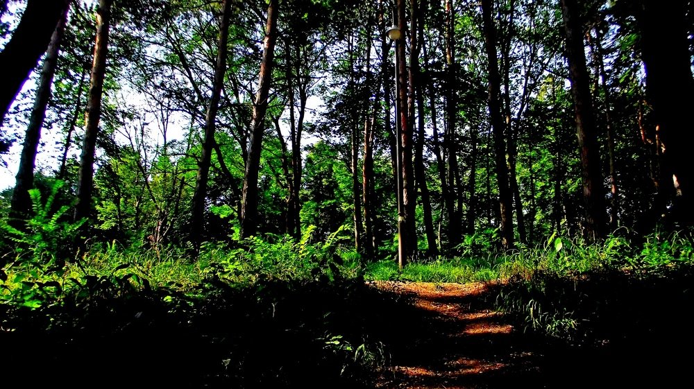 Photograph by юдженио Снежин (псевдоним)- БРИГИНЕВИЧ