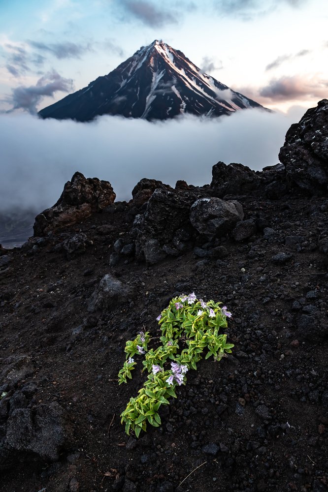 Рассвет на Камчатке