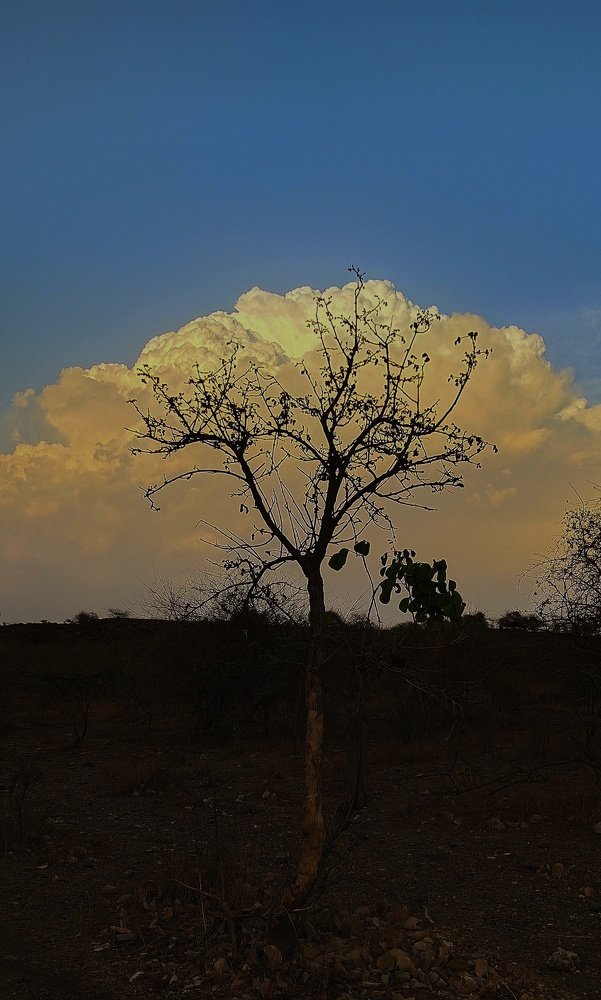 Photograph by Jayant Movaliya