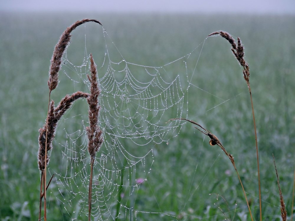 Фотография автора Ольга Канюкова