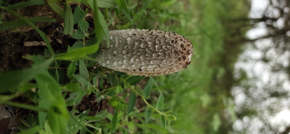 Photograph by Jayant Movaliya