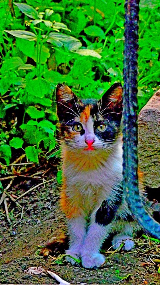 Photograph by юдженио Снежин (псевдоним)- БРИГИНЕВИЧ