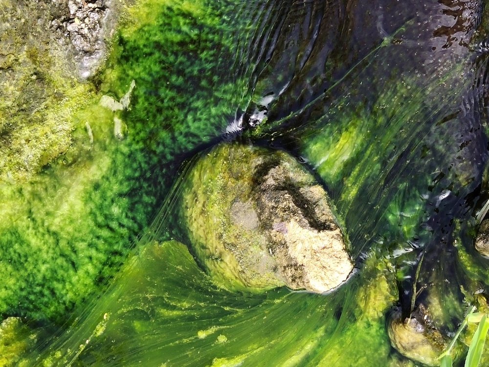 Photograph by Jayant Movaliya