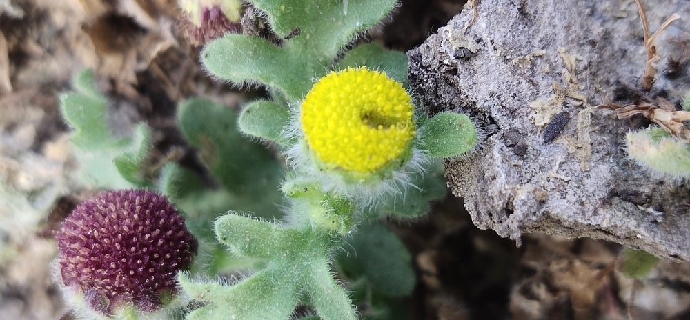 Photograph by Jayant Movaliya