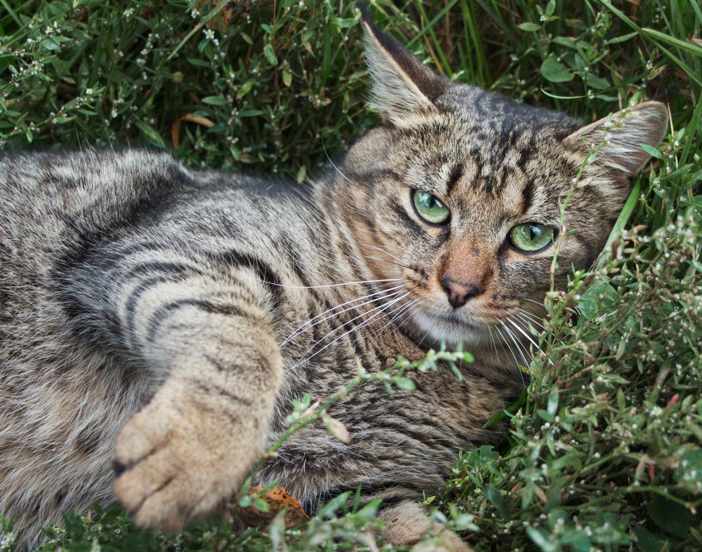 Photograph by Светлана Алексеева