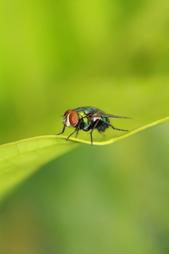 Photograph by Yusuf Buchari