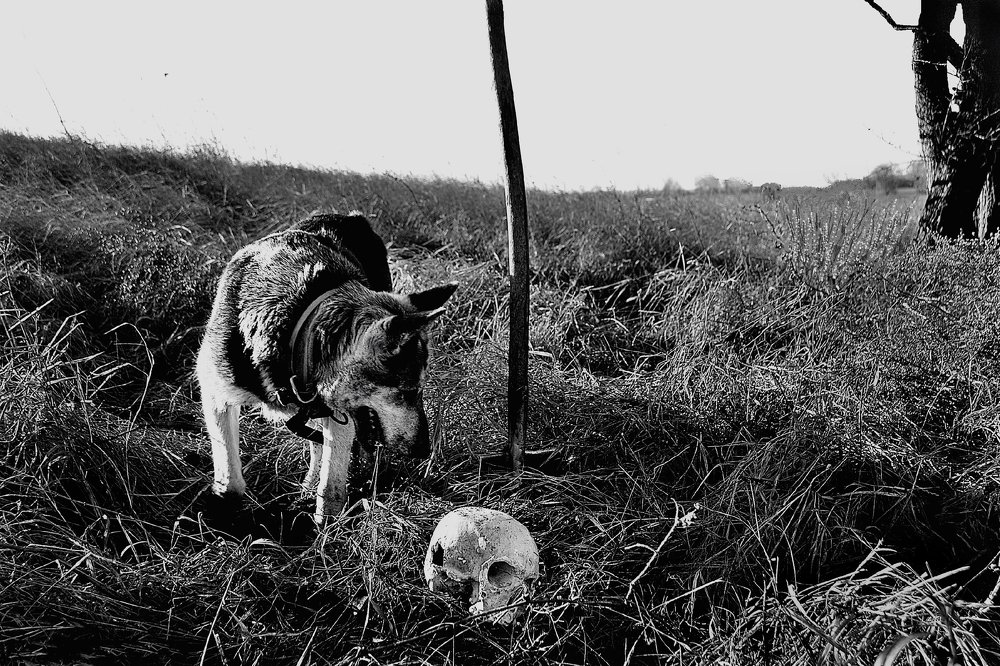 Дела давно минувших дней.