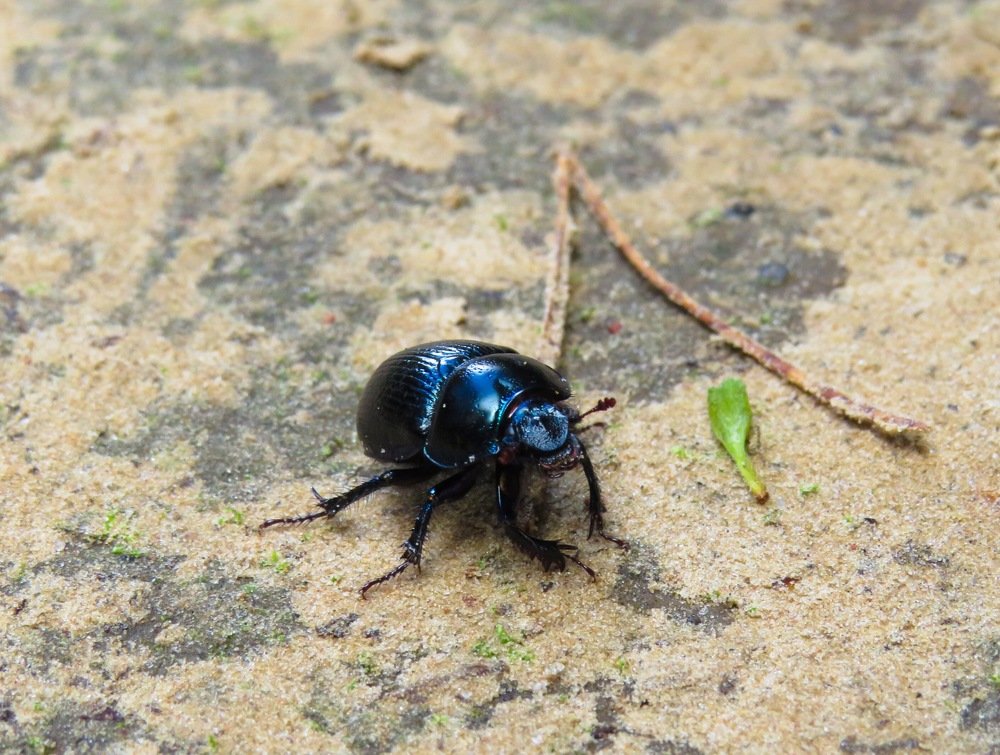 Photograph by Анастасия Романова