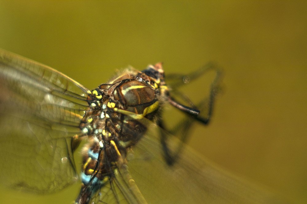 Photograph by миша