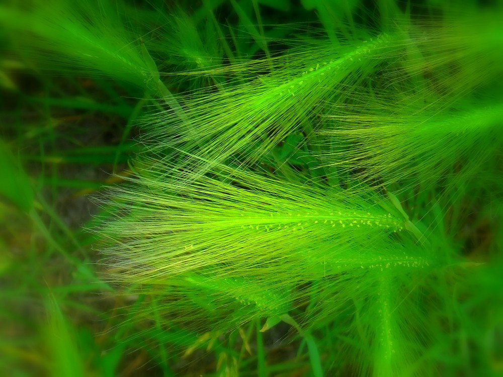 Photograph by Евгений Рогачевский