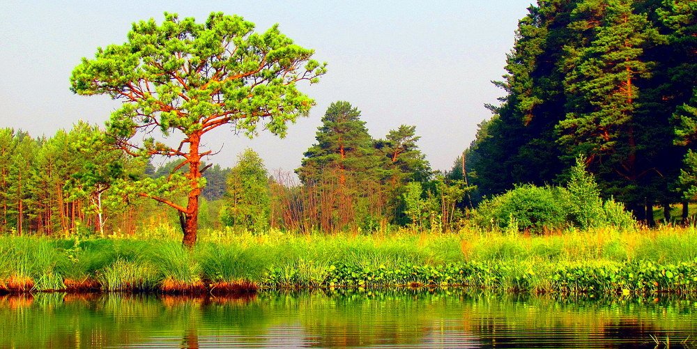 Photograph by Евгений Рогачевский