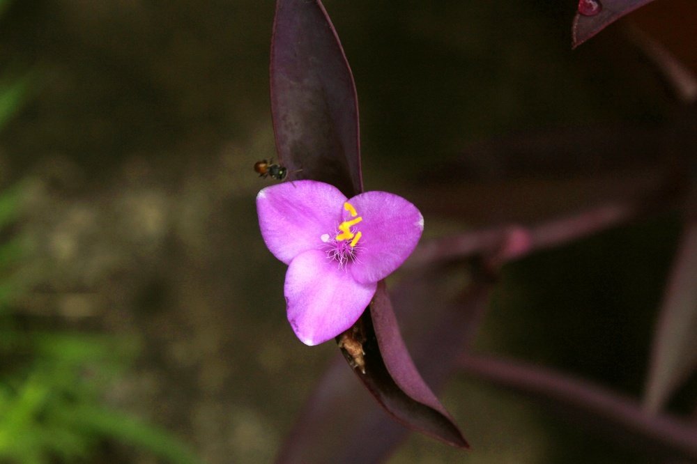 Photograph by Hemanth Reddy