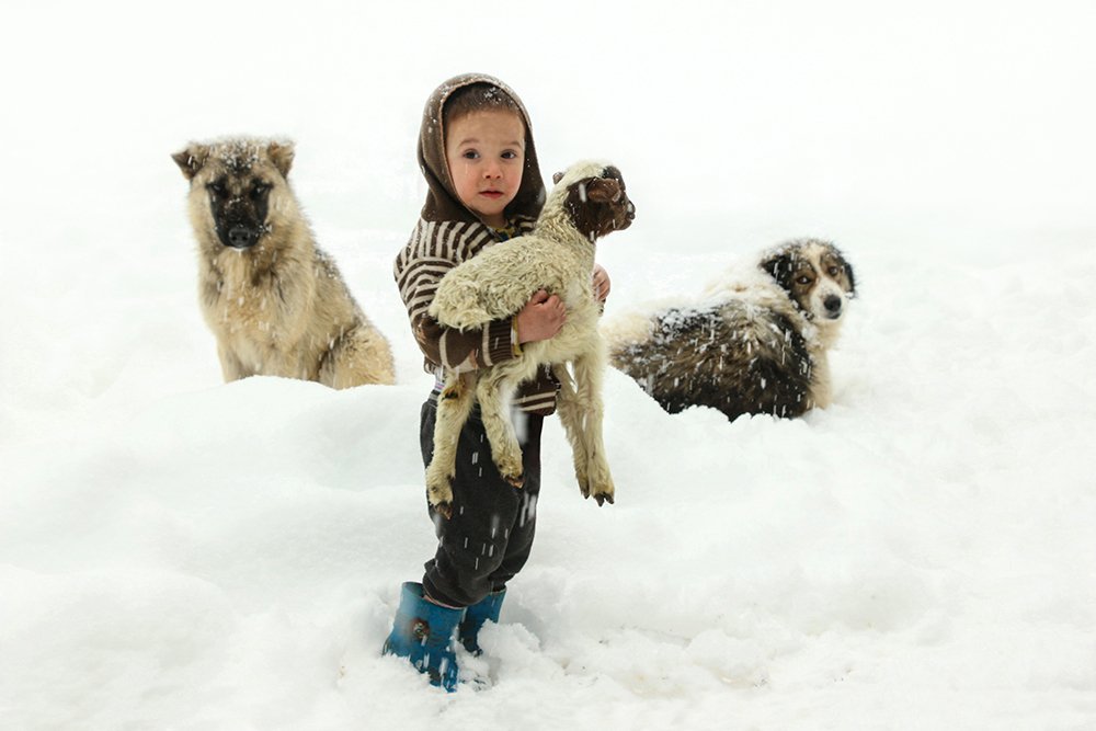 Photograph by homayon,navi