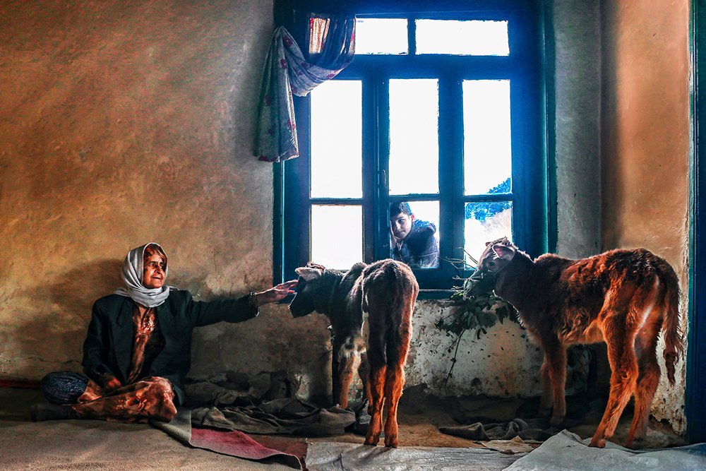 Photograph by homayon,navi