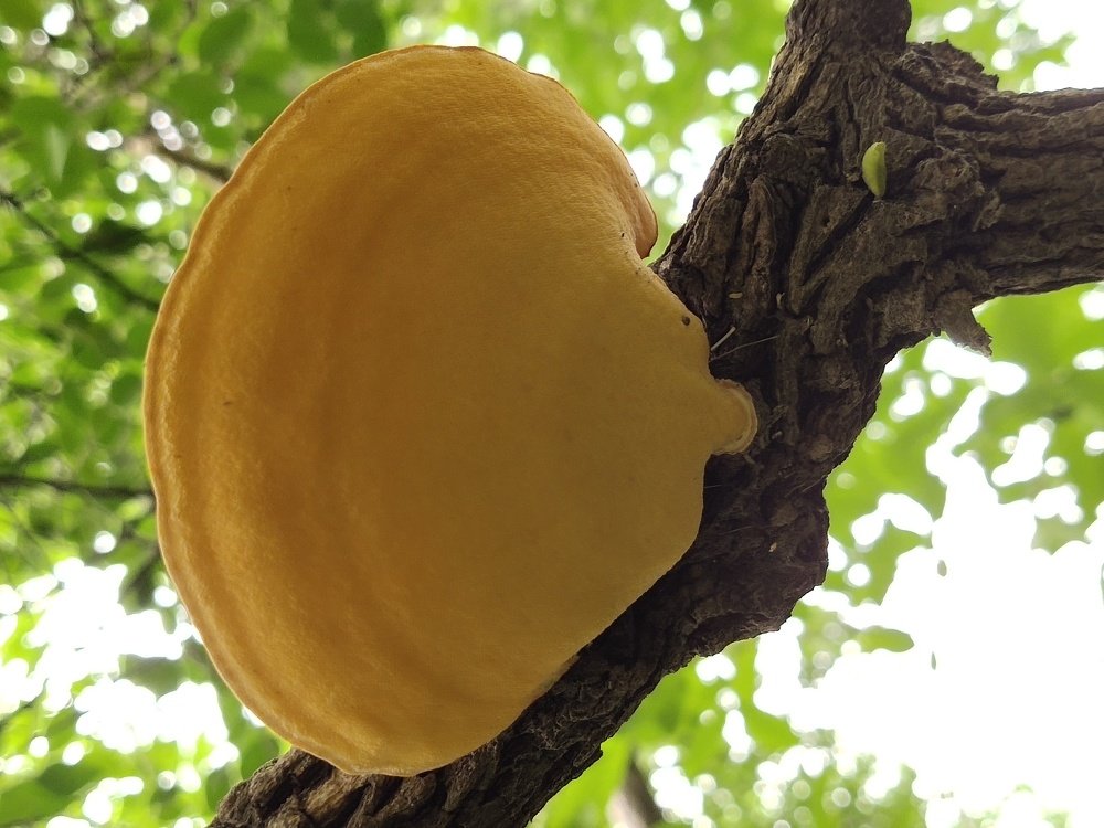 Photograph by Jayant Movaliya