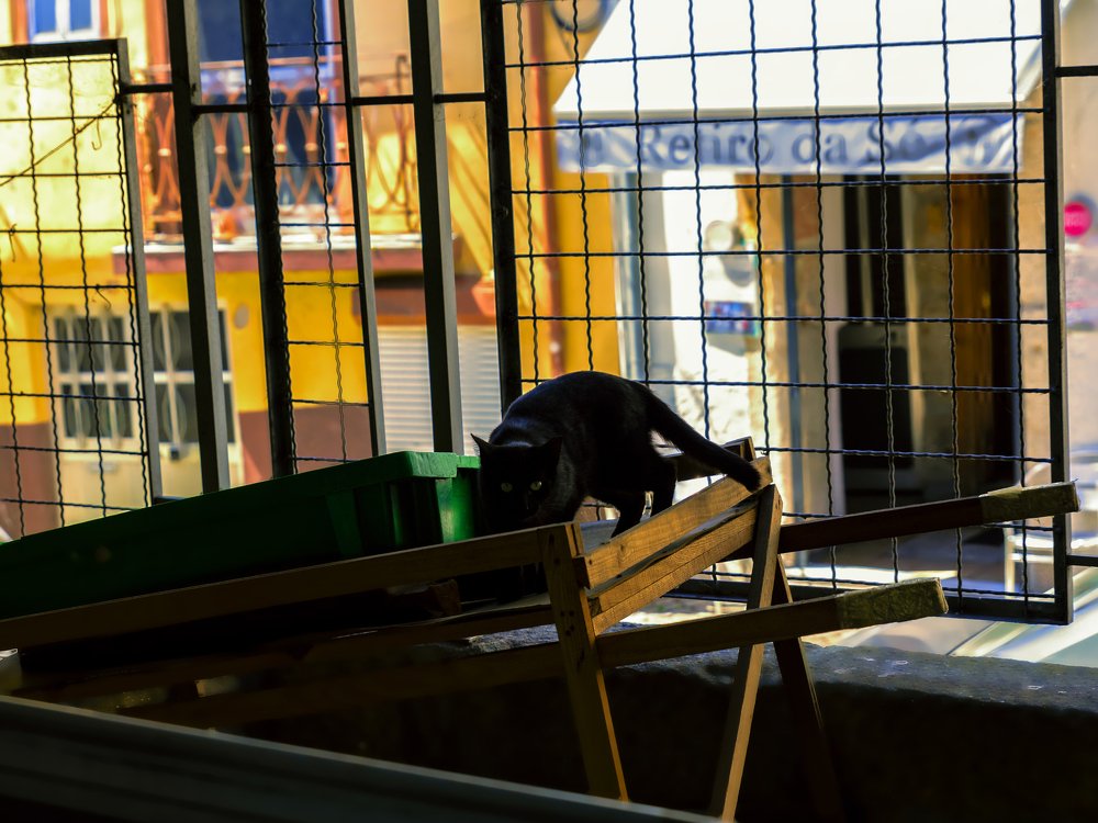 Photograph by Josep Fàbrega-Agea