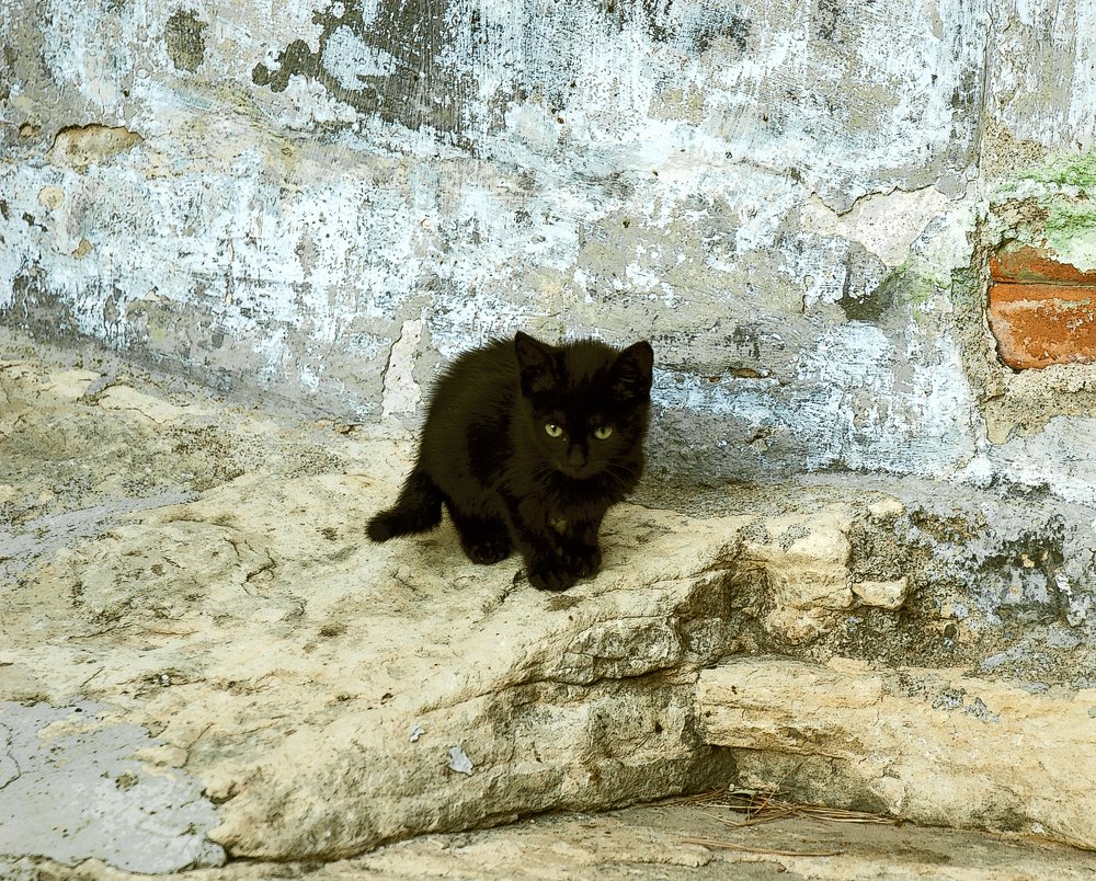 Photograph by Josep Fàbrega-Agea