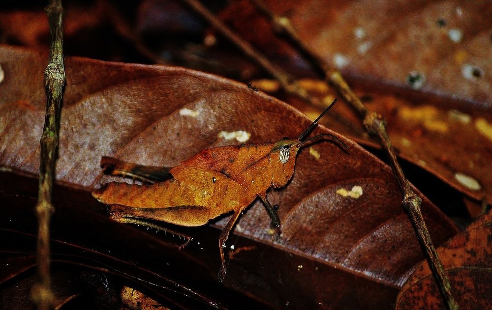 Photograph by stefanini alexis