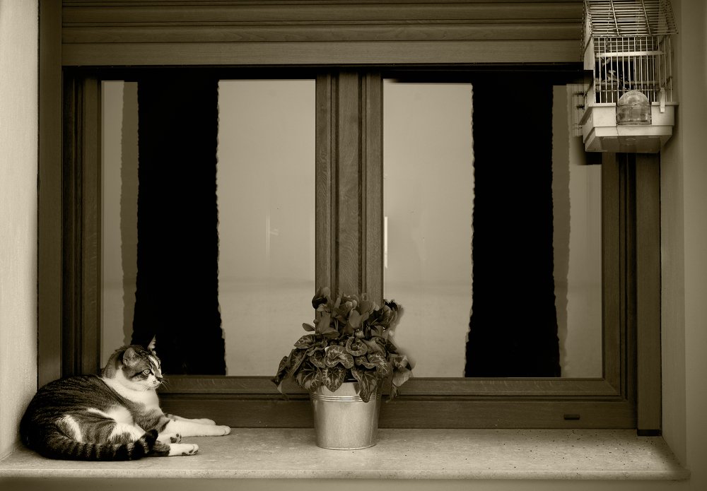 Photograph by Josep Fàbrega-Agea