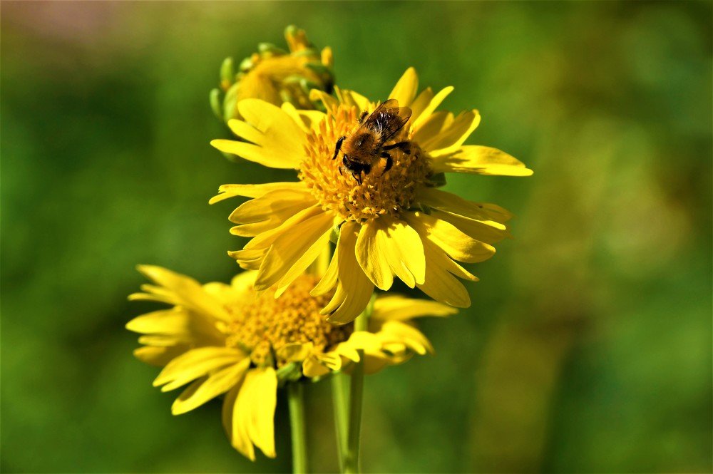 Photograph by stefanini alexis