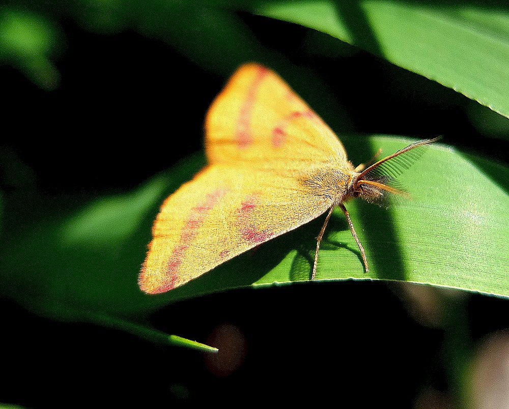 Photograph by Анна Матецкая