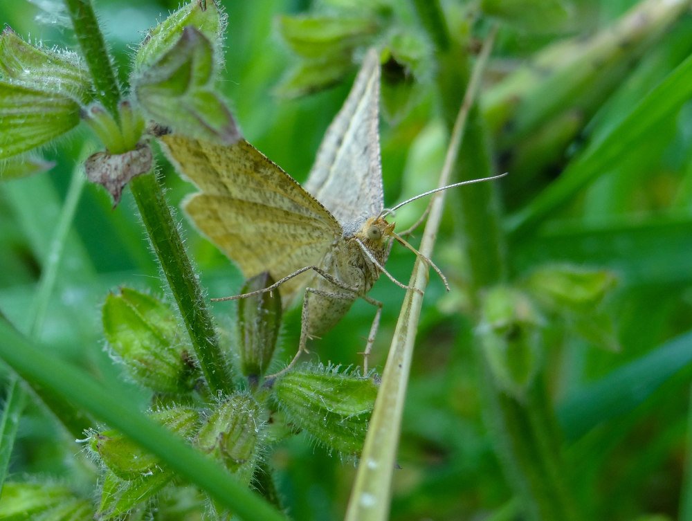 Photograph by Александра Петряева