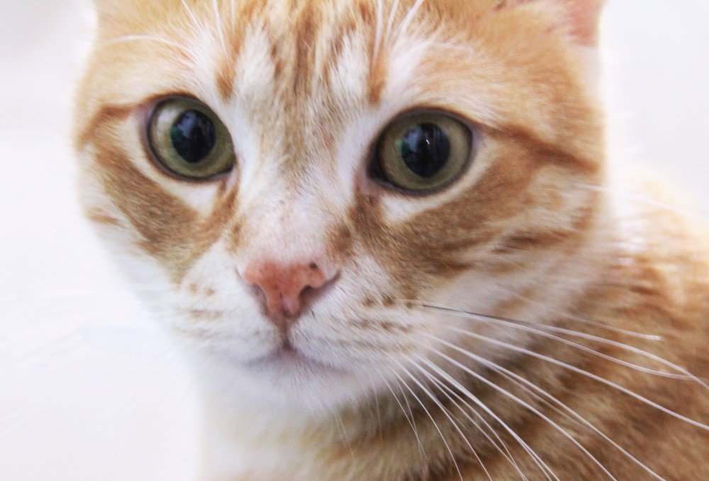 Photograph by Людмила Бутова