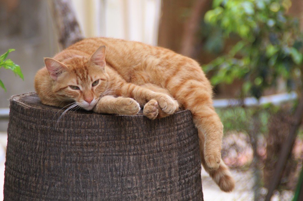 Photograph by Людмила Бутова