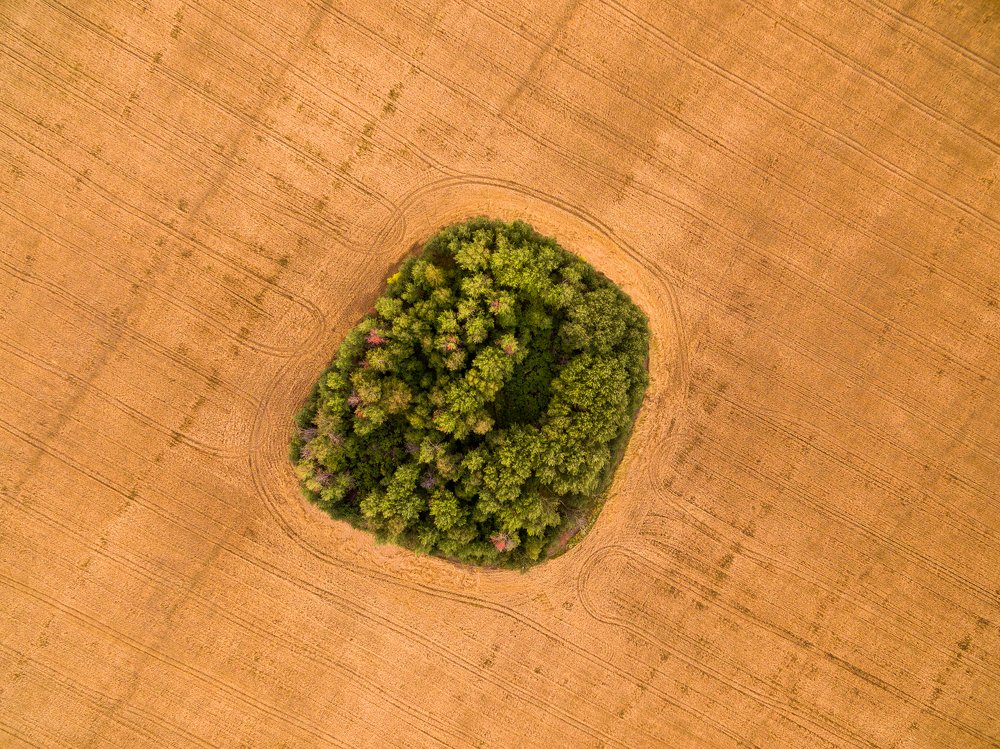 Photograph by Евгений Гецев