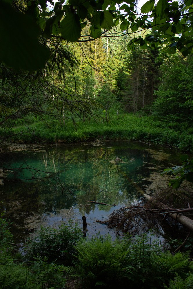 Photograph by Nadezda Sarap