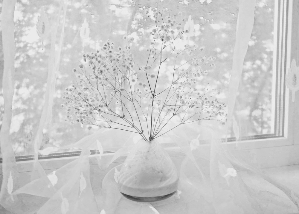 Photograph by Елена Жукова