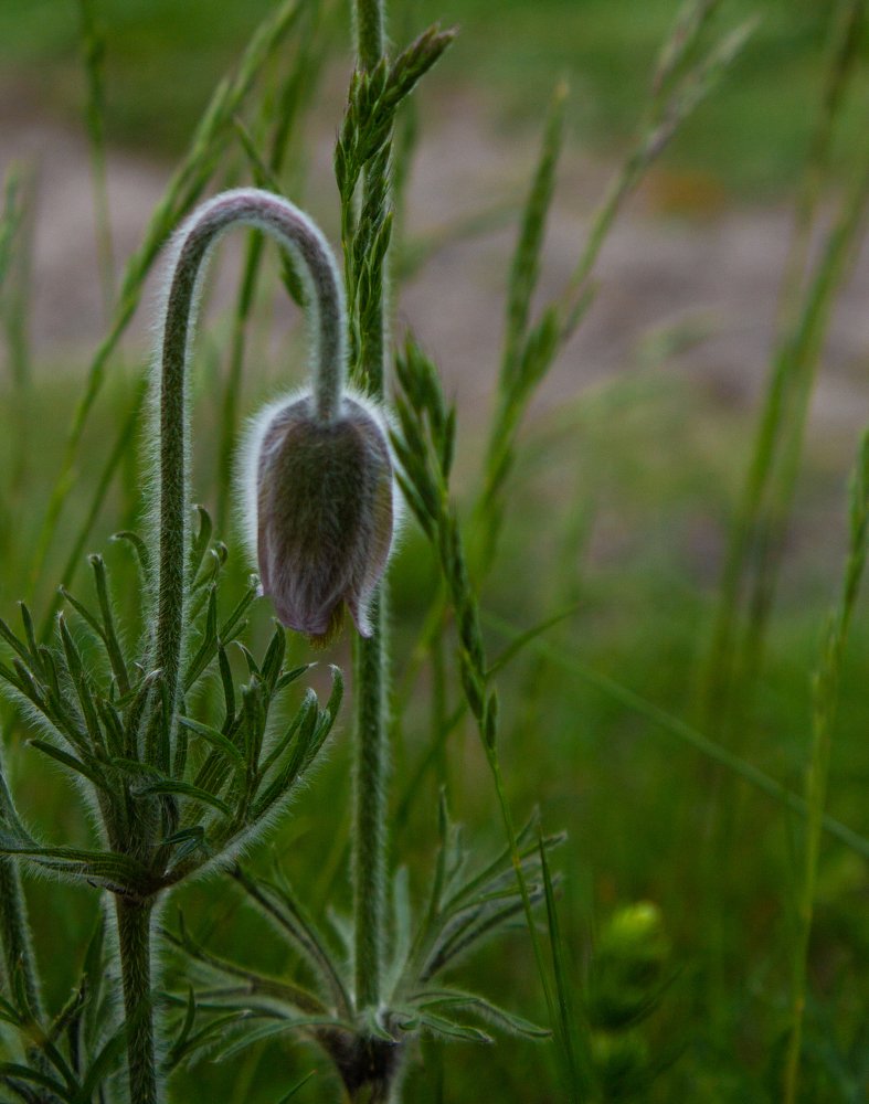 Photograph by Nadezda Sarap