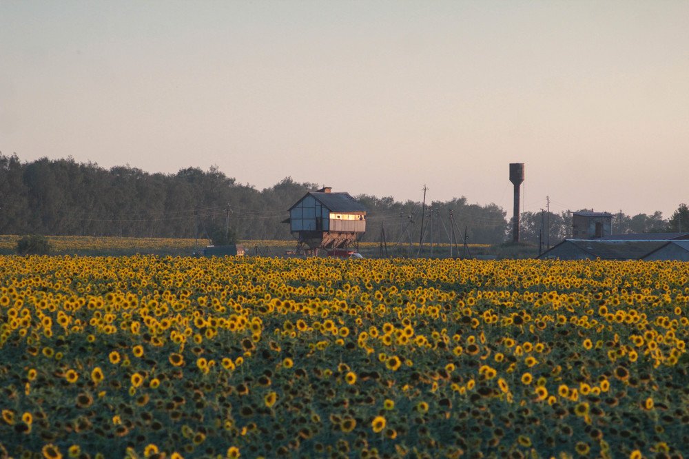 Photograph by Александра Петряева