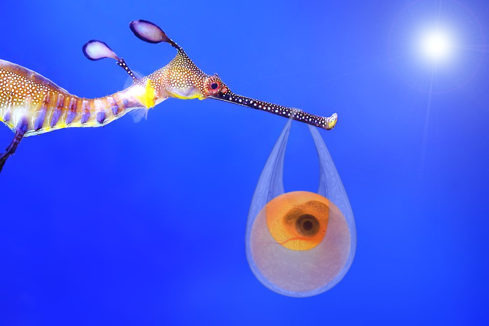 Вот так сюрприз...