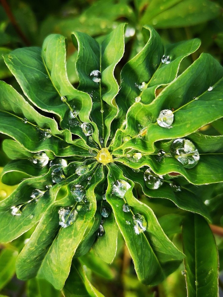 Photograph by Анастасия Глущенко