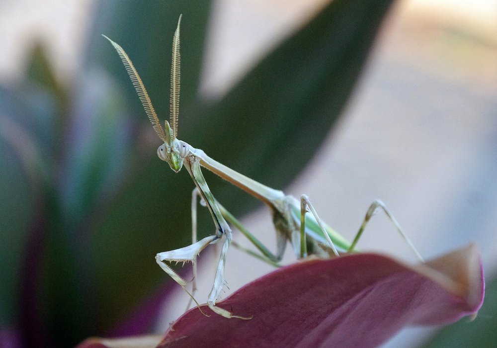 Photograph by Александр Касаткин